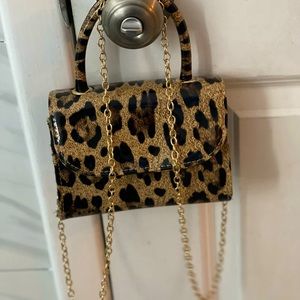 Nice small bag for a girls night out.